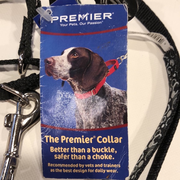 Premier Petite Collar & Leash - Picture 4 of 7